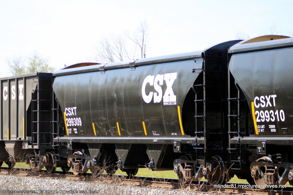CSX 299309